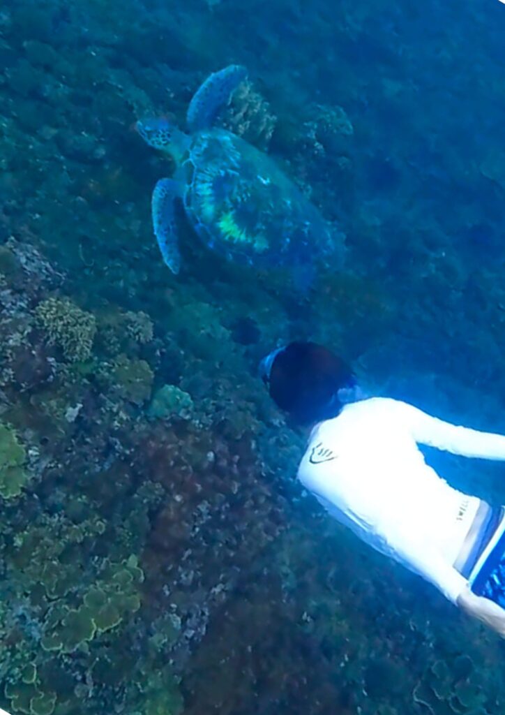 在後壁湖秘境浮潛，與海龜近照合拍